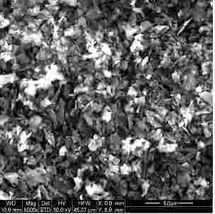 Boron Carbide Powder SEM