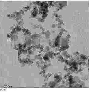 Boron Carbide Powder SEM