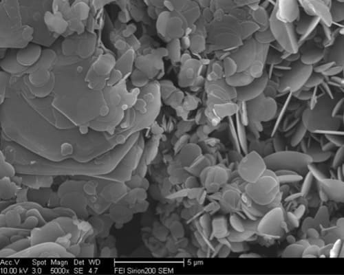 Boron Nitride Modified Platelet Powder SEM