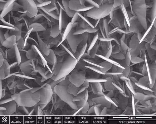 Boron Nitride Platelet Powder SEM