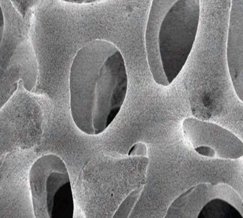 Silicon Carbide Foam Filter SEM