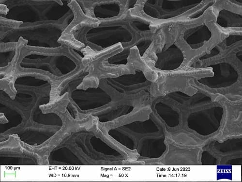 Tantalum Foam SEM