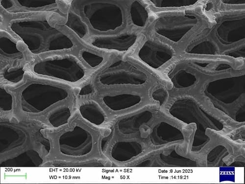 Tantalum Foam SEM