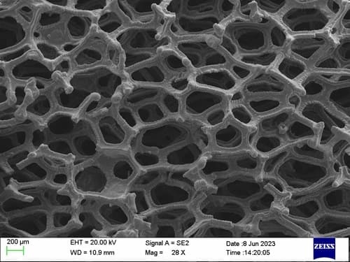 Tantalum Foam SEM